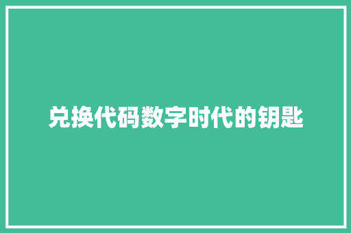 兑换代码数字时代的钥匙
