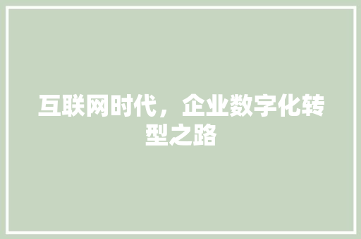 互联网时代，企业数字化转型之路