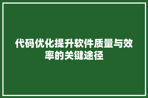 代码优化提升软件质量与效率的关键途径