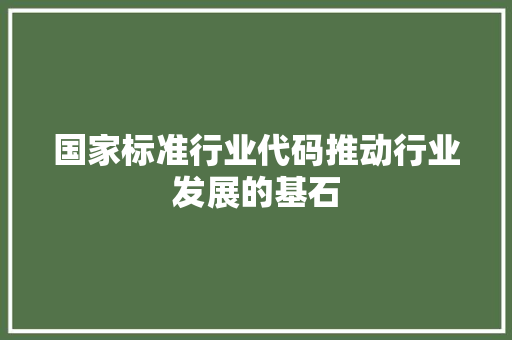 国家标准行业代码推动行业发展的基石