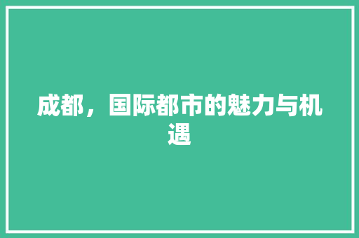 成都，国际都市的魅力与机遇