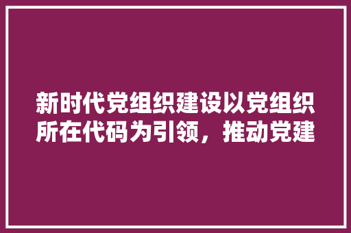 新时代党组织建设以党组织所在代码为引领，推动党建高质量发展