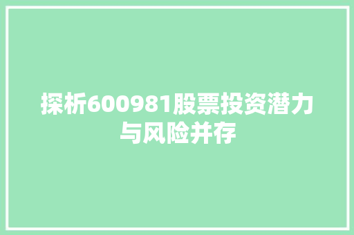 探析600981股票投资潜力与风险并存