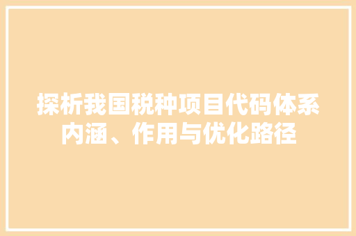 探析我国税种项目代码体系内涵、作用与优化路径