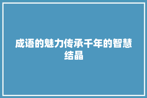 成语的魅力传承千年的智慧结晶