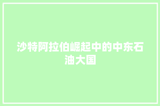 沙特阿拉伯崛起中的中东石油大国