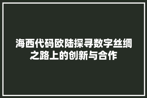 海西代码欧陆探寻数字丝绸之路上的创新与合作