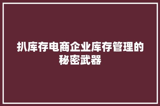 扒库存电商企业库存管理的秘密武器