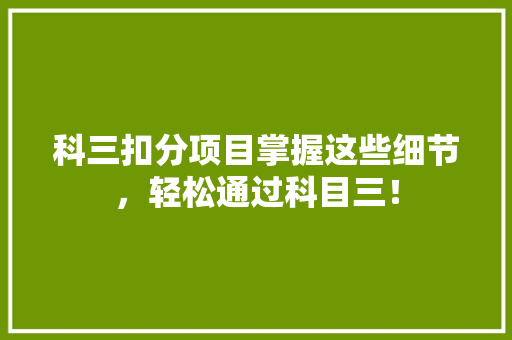 科三扣分项目掌握这些细节，轻松通过科目三！