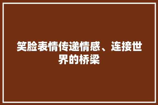 笑脸表情传递情感、连接世界的桥梁