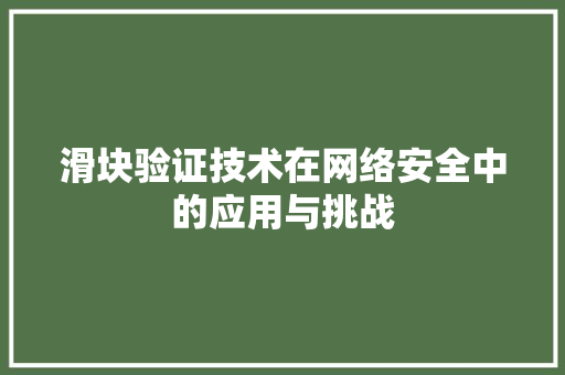 滑块验证技术在网络安全中的应用与挑战