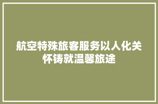 航空特殊旅客服务以人化关怀铸就温馨旅途