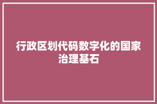 行政区划代码数字化的国家治理基石