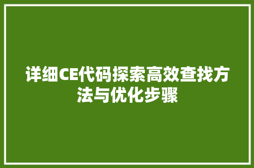 详细CE代码探索高效查找方法与优化步骤