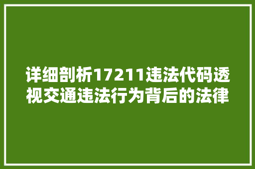 详细剖析17211违法代码透视交通违法行为背后的法律责任与治理挑战