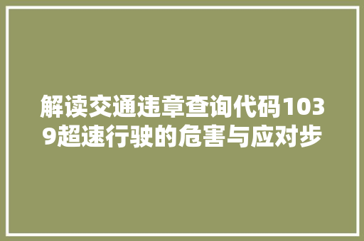 解读交通违章查询代码1039超速行驶的危害与应对步骤