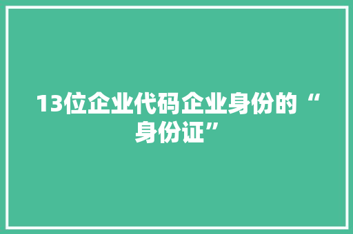 13位企业代码企业身份的“身份证”