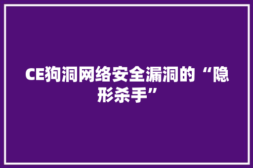 CE狗洞网络安全漏洞的“隐形杀手”