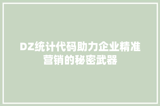 DZ统计代码助力企业精准营销的秘密武器