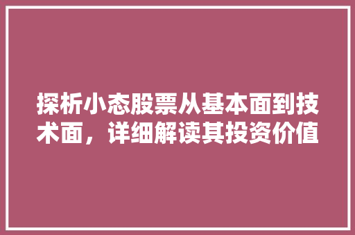 探析小态股票从基本面到技术面，详细解读其投资价值