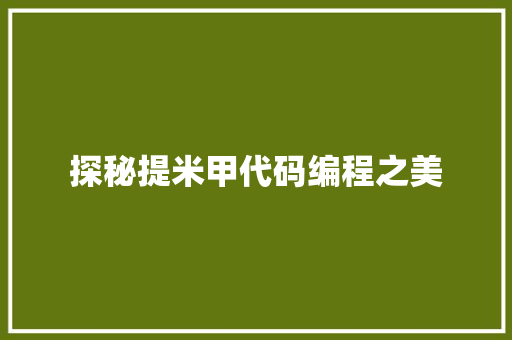 探秘提米甲代码编程之美