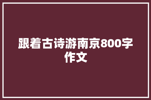 Lua代码编辑器助力开发者高效编程的艺术之旅