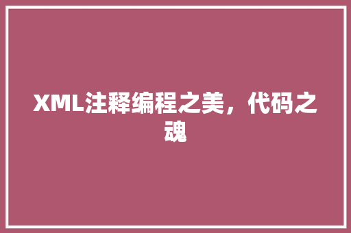 XML注释编程之美，代码之魂