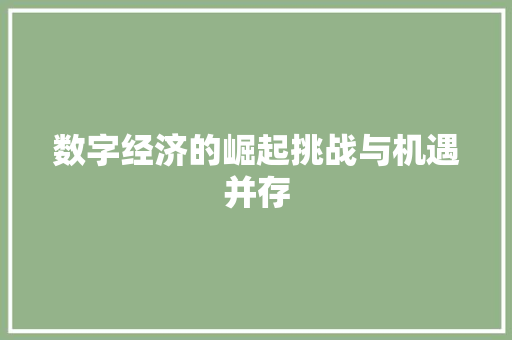 数字经济的崛起挑战与机遇并存
