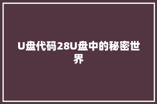 U盘代码28U盘中的秘密世界