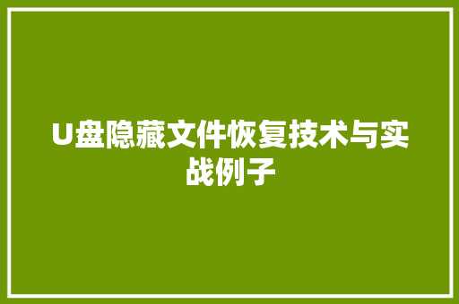 U盘隐藏文件恢复技术与实战例子