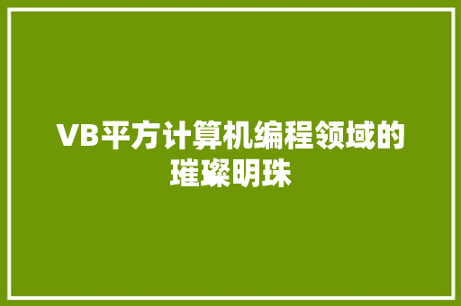 VB平方计算机编程领域的璀璨明珠