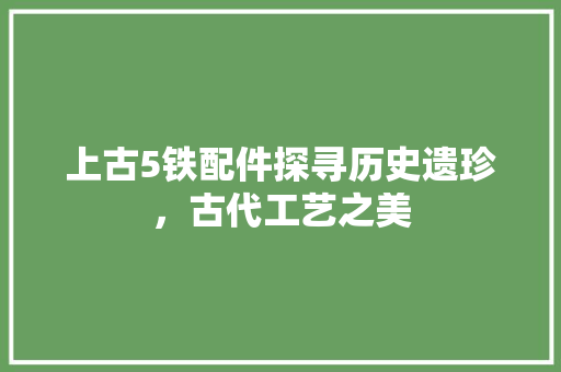 上古5铁配件探寻历史遗珍，古代工艺之美