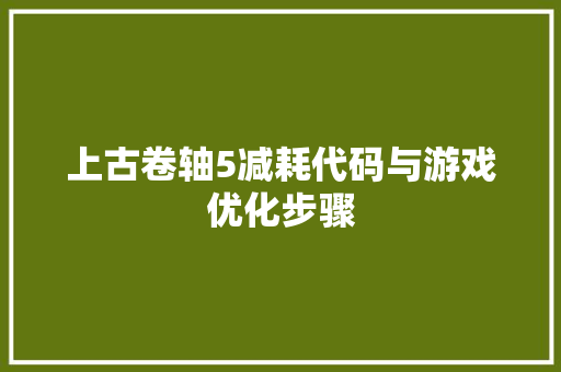 上古卷轴5减耗代码与游戏优化步骤