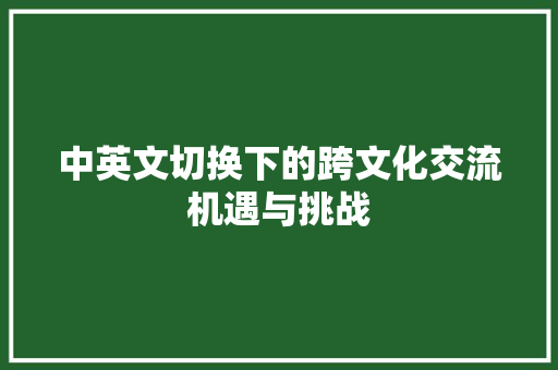 中英文切换下的跨文化交流机遇与挑战