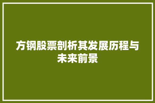 方钢股票剖析其发展历程与未来前景