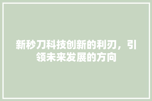 新秒刀科技创新的利刃，引领未来发展的方向