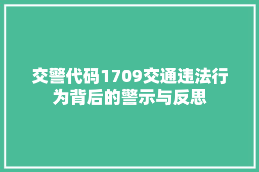 交警代码1709交通违法行为背后的警示与反思
