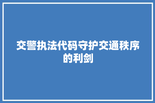 交警执法代码守护交通秩序的利剑