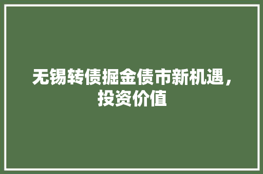 无锡转债掘金债市新机遇，投资价值  第1张
