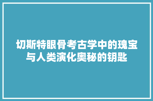 切斯特眼骨考古学中的瑰宝与人类演化奥秘的钥匙