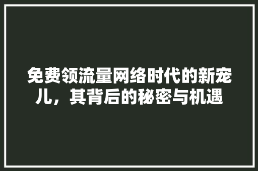 免费领流量网络时代的新宠儿，其背后的秘密与机遇