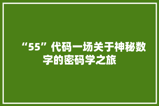 “55”代码一场关于神秘数字的密码学之旅