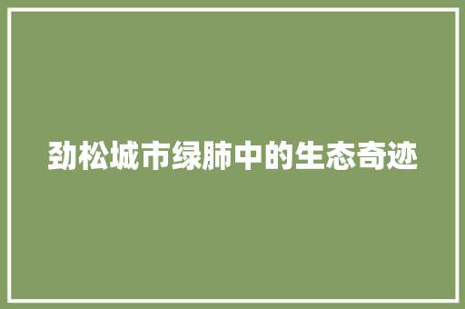 劲松城市绿肺中的生态奇迹