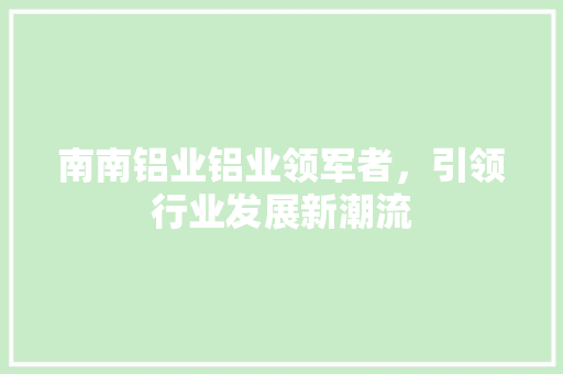 南南铝业铝业领军者，引领行业发展新潮流