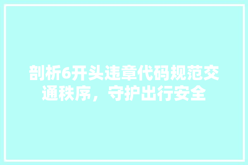 剖析6开头违章代码规范交通秩序，守护出行安全