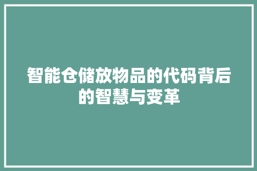 智能仓储放物品的代码背后的智慧与变革