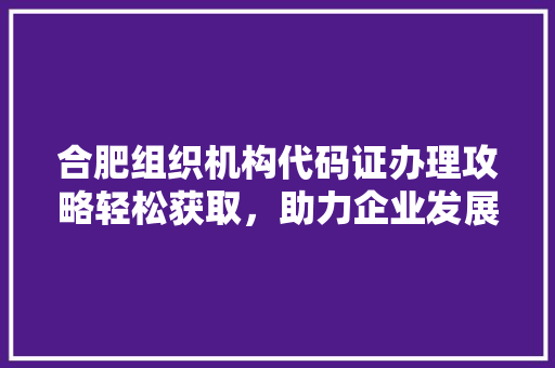 合肥组织机构代码证办理攻略轻松获取，助力企业发展
