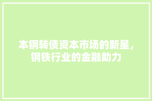 本钢转债资本市场的新星，钢铁行业的金融助力