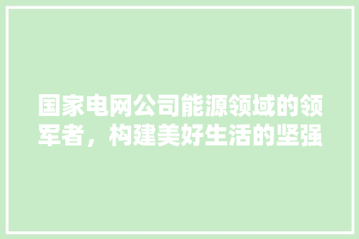 国家电网公司能源领域的领军者，构建美好生活的坚强基石