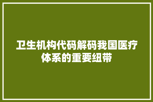 卫生机构代码解码我国医疗体系的重要纽带